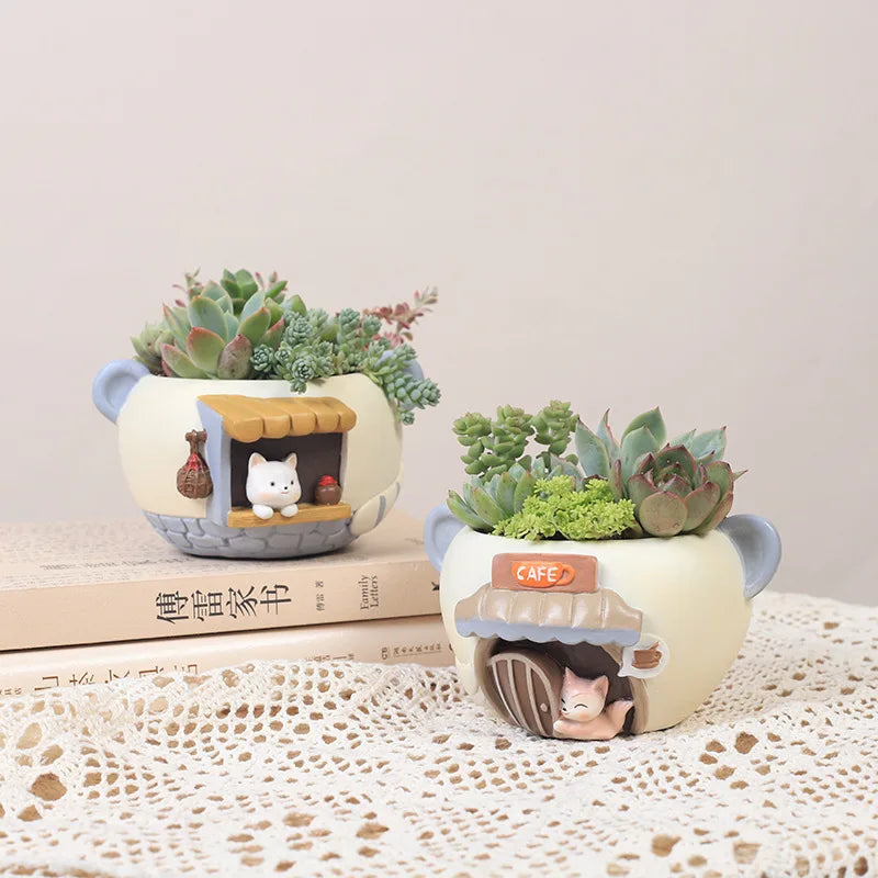 Creative Planter for Succulents