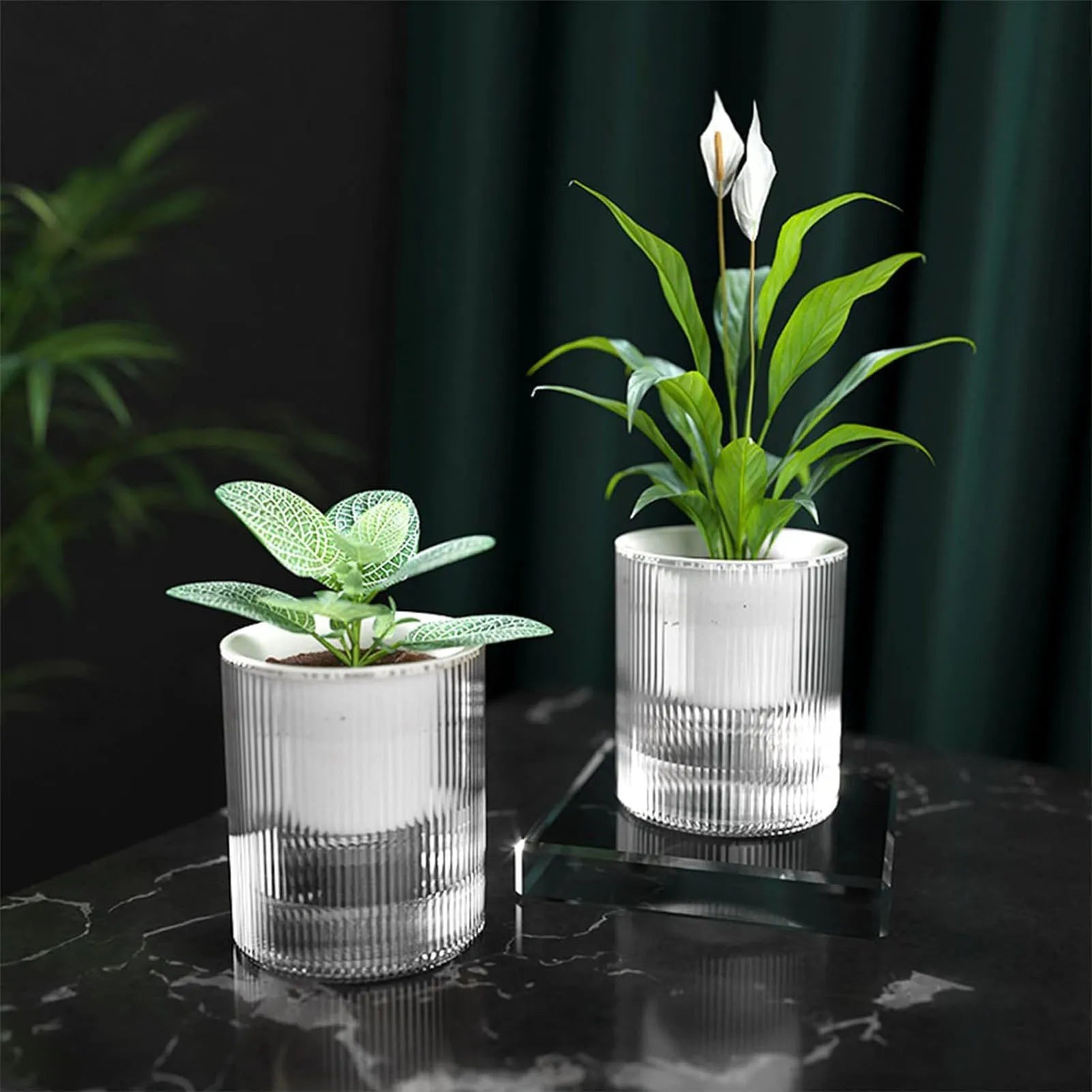 Automatic Water-absorbing Hydroponic Transparent Flowerpot