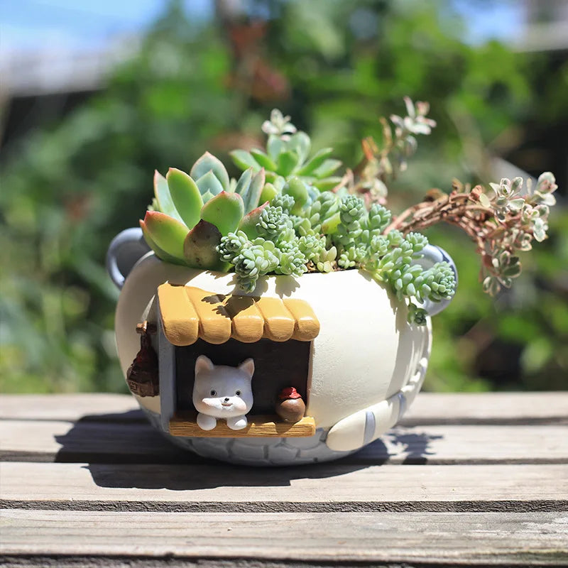 Creative Planter for Succulents