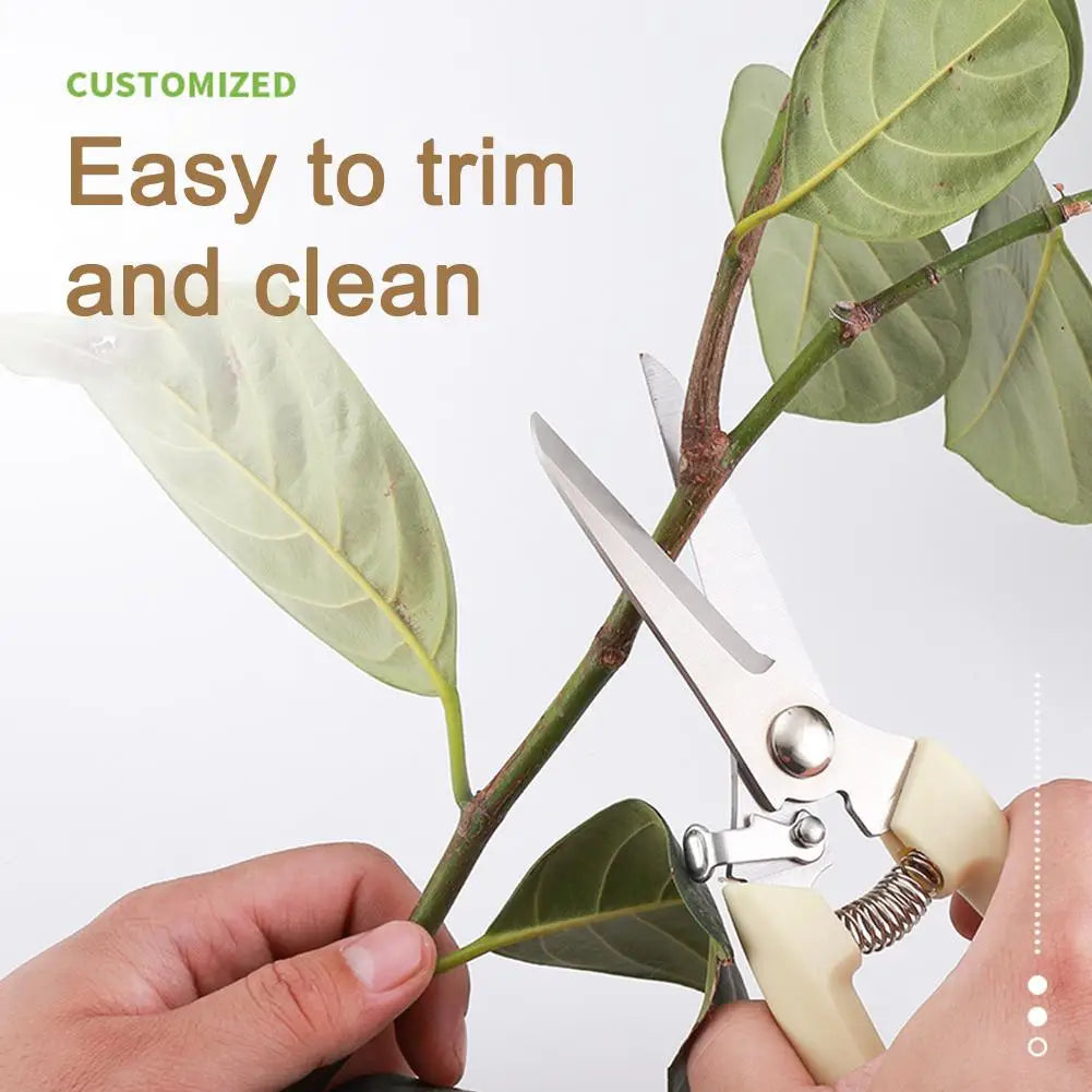 Pruning Garden Scissors