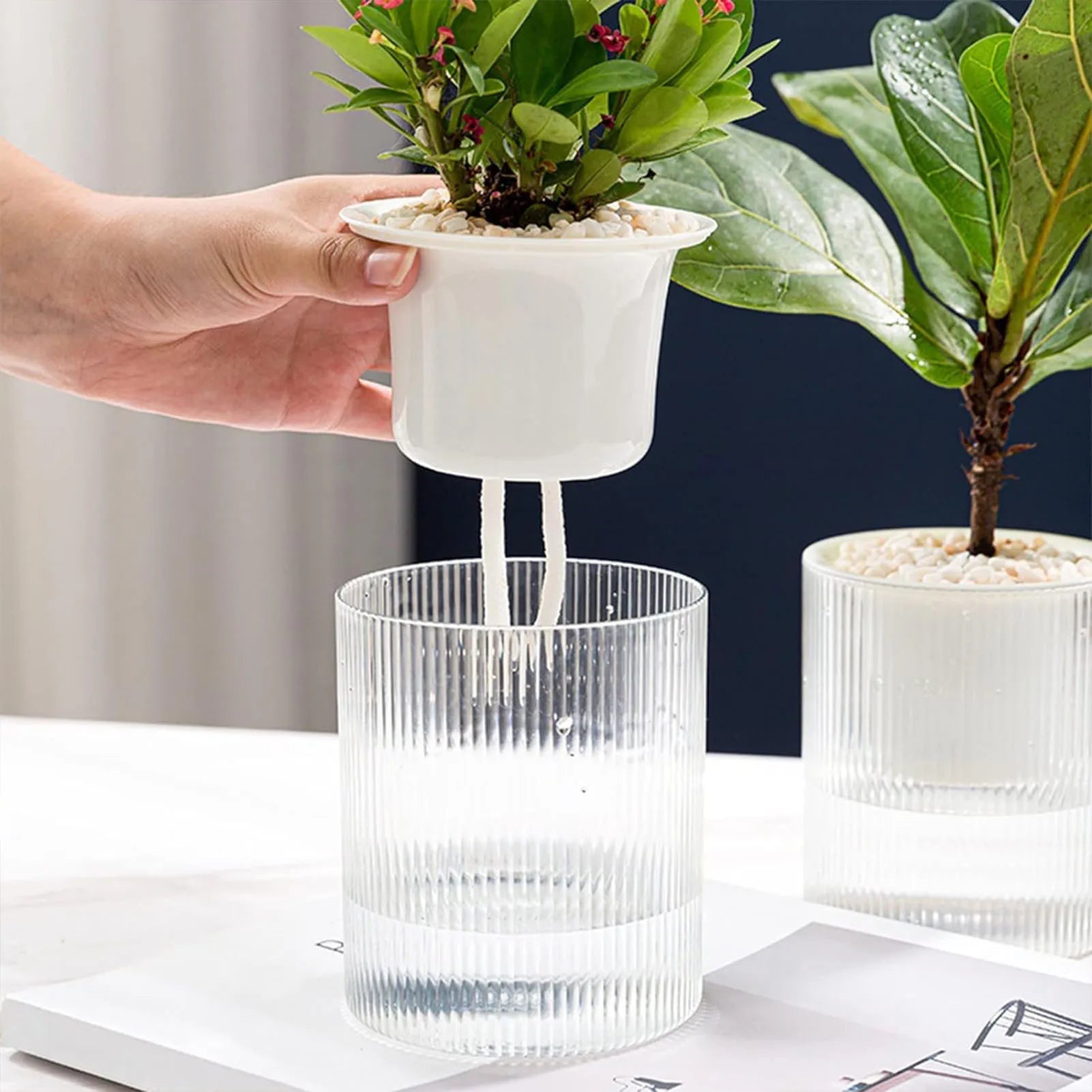 Automatic Water-absorbing Hydroponic Transparent Flowerpot