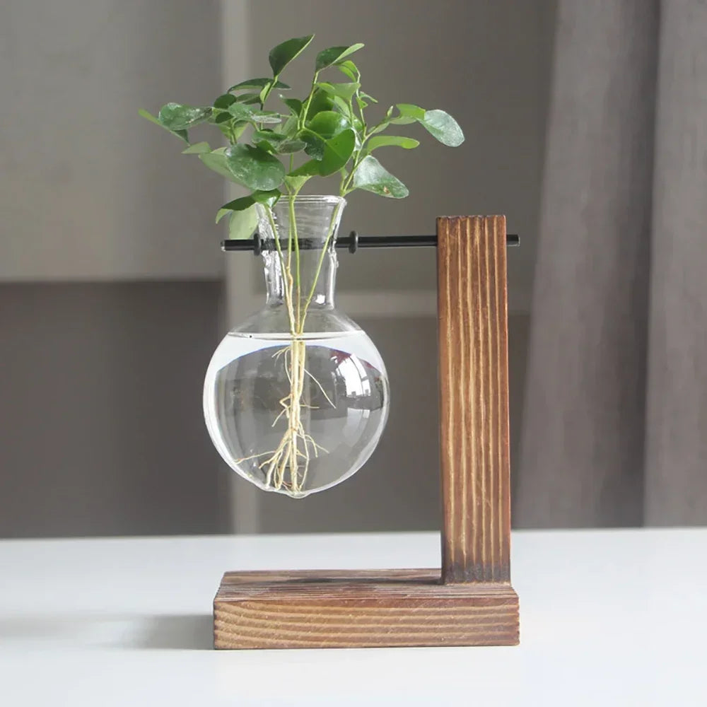 Transparent Bulb Vase with Wooden Stand