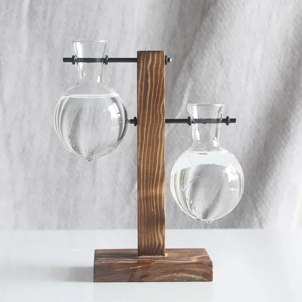 Transparent Bulb Vase with Wooden Stand