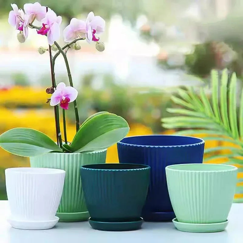 Plastic Flower Pot Succulent Potted Round Pot With Tray