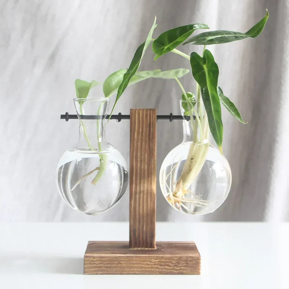 Transparent Bulb Vase with Wooden Stand