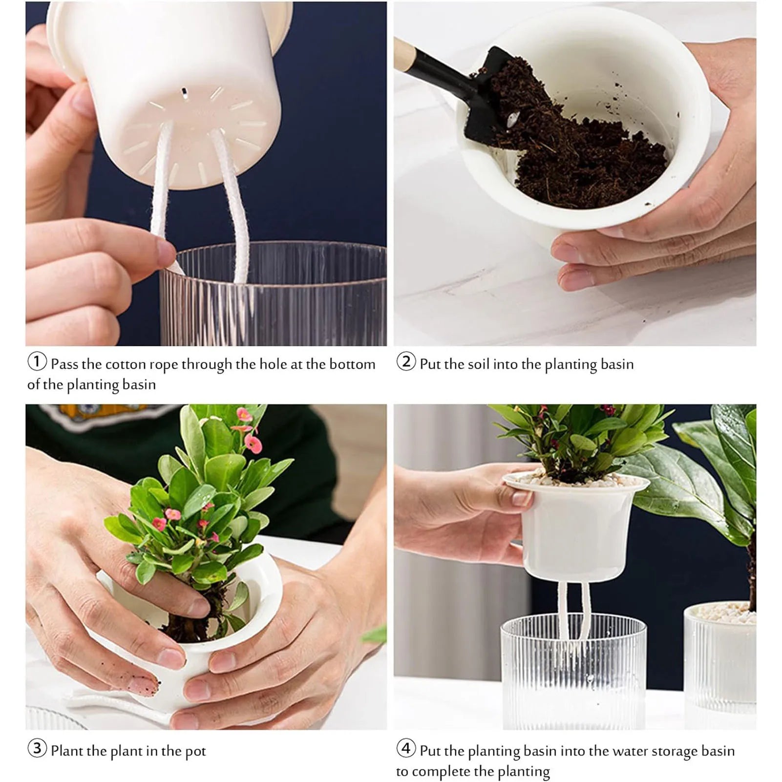 Automatic Water-absorbing Hydroponic Transparent Flowerpot