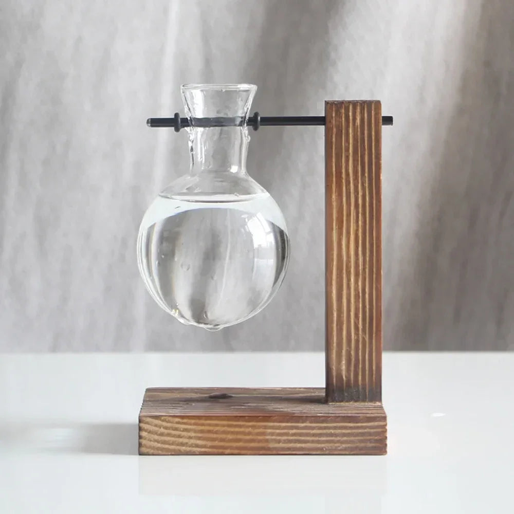 Transparent Bulb Vase with Wooden Stand