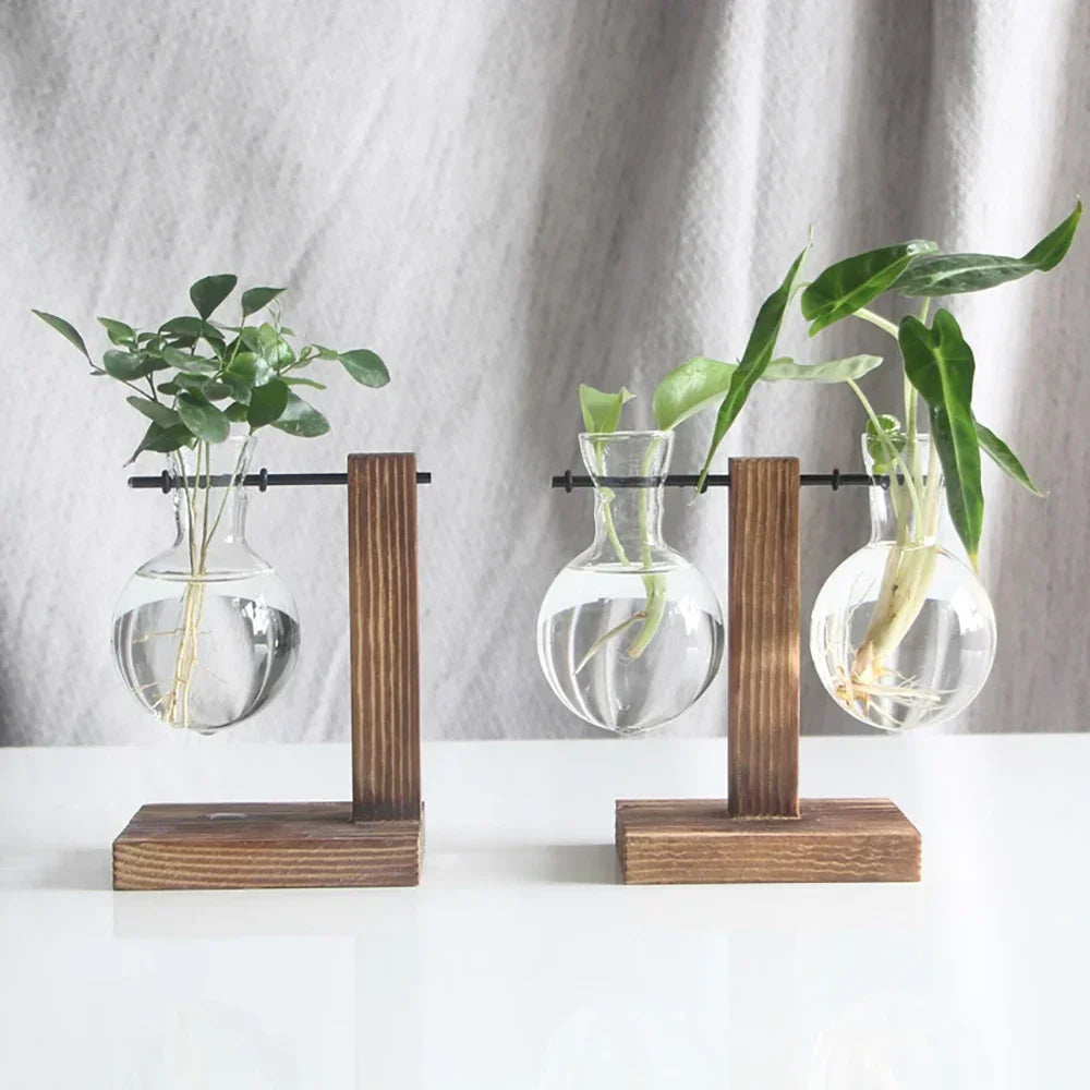 Transparent Bulb Vase with Wooden Stand