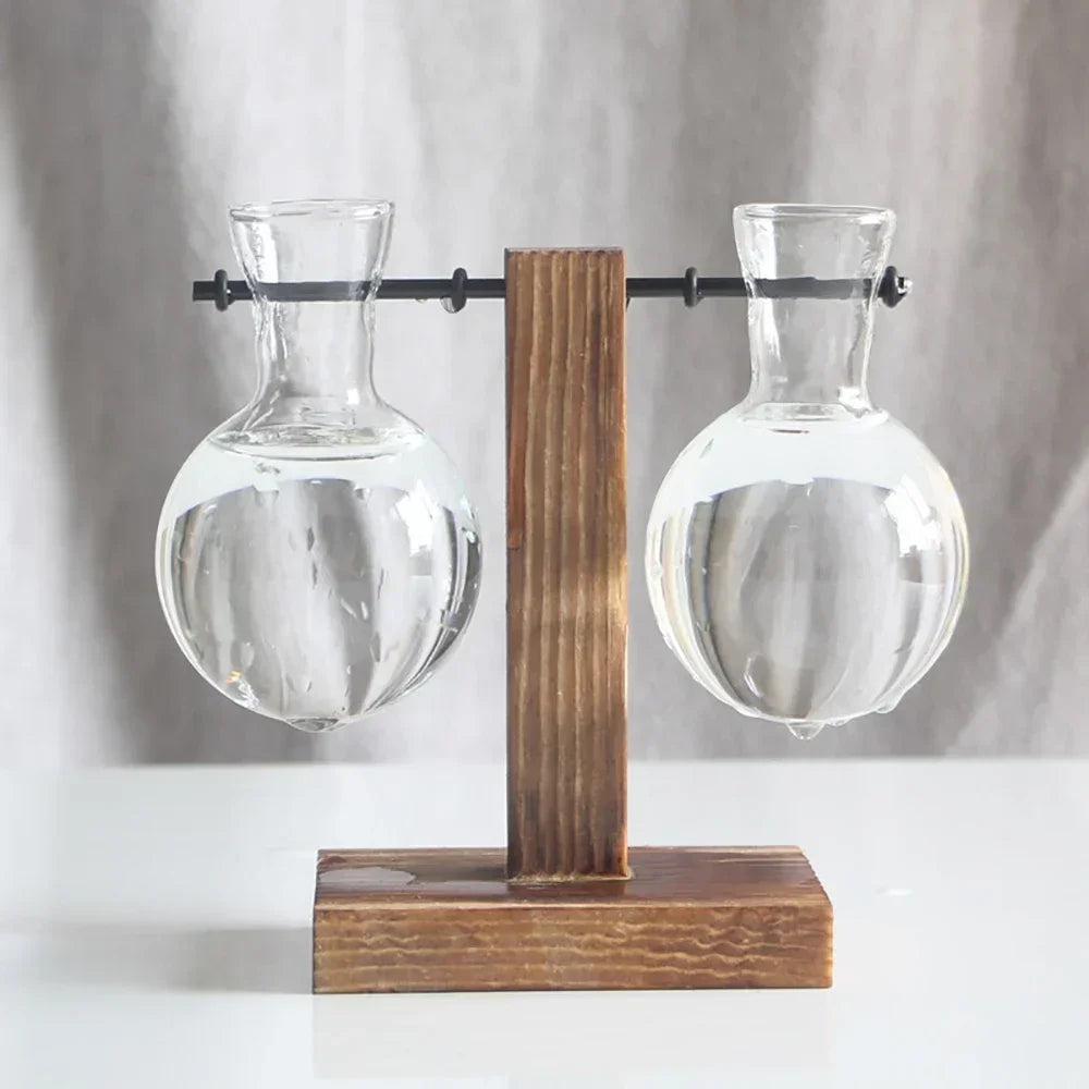 Transparent Bulb Vase with Wooden Stand