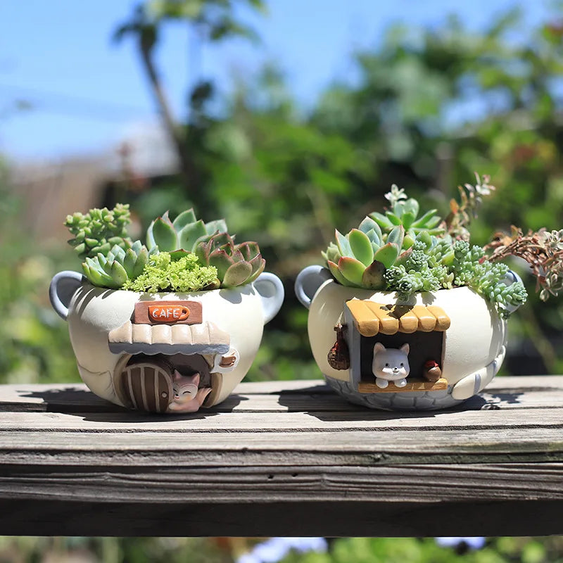 Creative Planter for Succulents