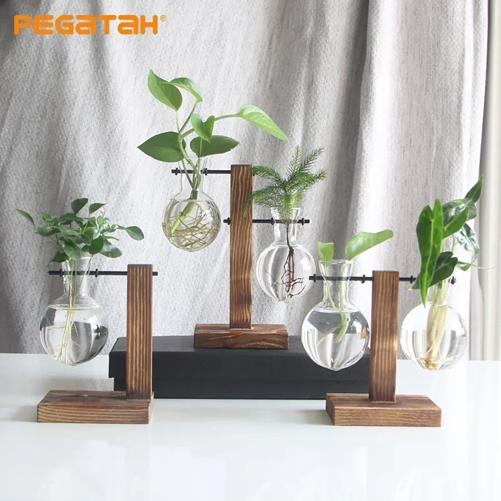 Transparent Bulb Vase with Wooden Stand